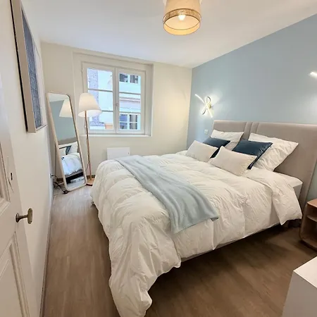 Apartman Le Azur - Charme D'un Dans Maison Alsacienne - Hypercentre De