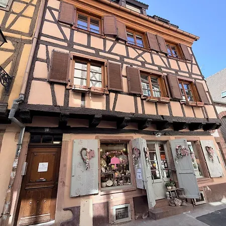Apartman Le Azur - Charme D'un Dans Maison Alsacienne - Hypercentre De
